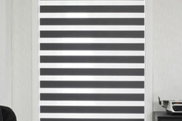 14-zebra-blinds0A6BCD62-5956-BCF5-E07A-66B1513448E9.jpg